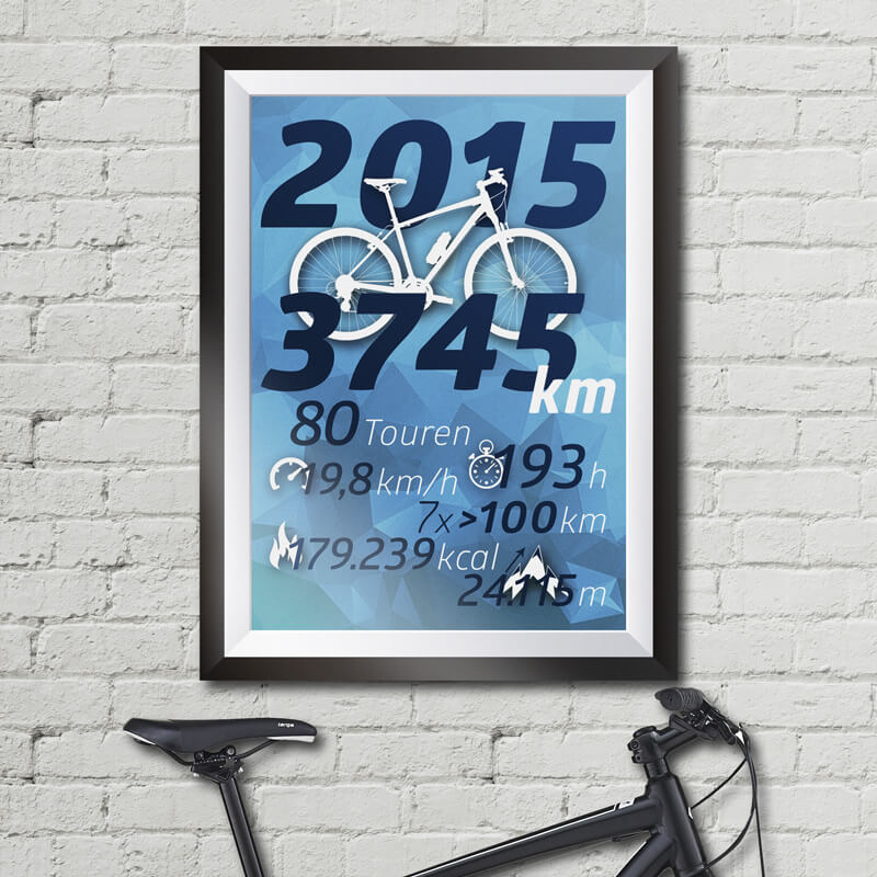 BikeStatistik2015